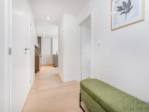 Prodej bytu 4+kk, Praha - Žižkov, Pod lipami, 75 m2