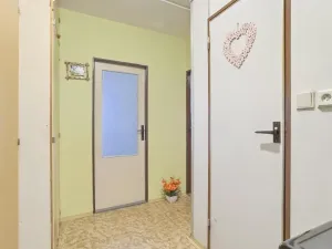 Prodej bytu 2+kk, Most, Františka Malíka, 39 m2