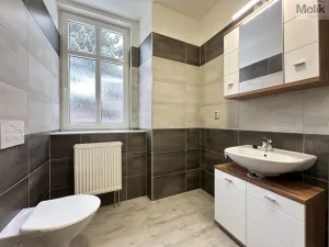 Pronájem bytu 2+kk, Osek, Obránců míru, 40 m2