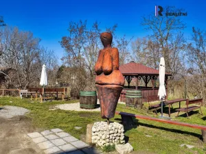 Prodej rodinného domu, Dolní Věstonice, Sklepní, 1000 m2