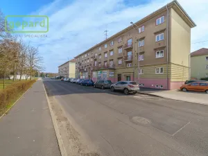 Prodej bytu 2+1, Sokolov, Pionýrů, 56 m2