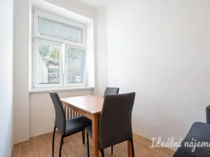 Pronájem bytu 1+1, Brno, Pekařská, 48 m2