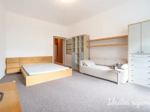 Pronájem bytu 1+1, Brno, Pekařská, 48 m2