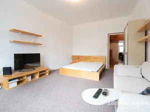 Pronájem bytu 1+1, Brno, Pekařská, 48 m2