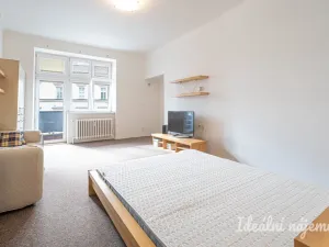 Pronájem bytu 1+1, Brno, Pekařská, 48 m2