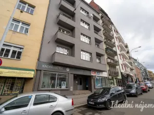 Pronájem bytu 1+1, Brno, Pekařská, 48 m2