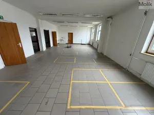 Pronájem skladu, Žatec - Velichov, 275 m2