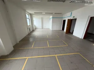 Pronájem skladu, Žatec - Velichov, 275 m2