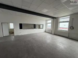 Pronájem skladu, Žatec - Velichov, 275 m2