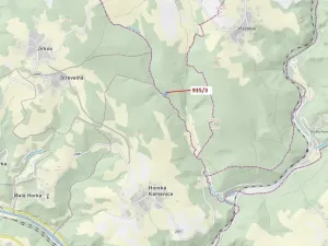 Dražba lesa, Jílové u Držkova, 2349 m2