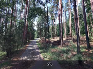 Dražba lesa, Chrášťany, 1726 m2