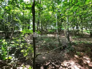 Prodej pozemku pro bydlení, Liberec - Liberec XXX-Vratislavice nad Nisou, Pod Skalkou, 5544 m2