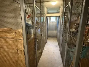 Prodej bytu 3+1, Olomouc - Nová Ulice, Brněnská, 72 m2