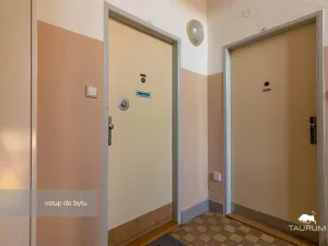 Prodej bytu 2+1, Plzeň - Východní Předměstí, Brojova, 58 m2