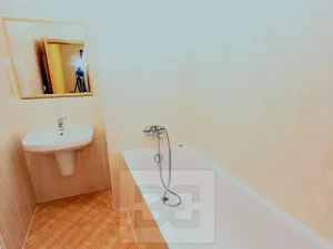 Pronájem bytu 2+kk, Praha - Holešovice, V háji, 54 m2