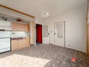 Prodej bytu 1+1, Litvínov - Horní Litvínov, Tylova, 36 m2