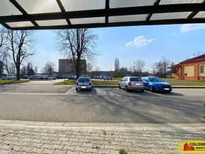 Pronájem ubytování, Hodonín, 292 m2