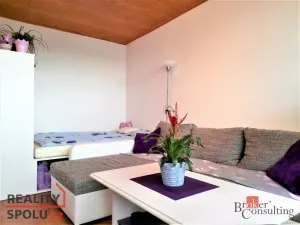 Pronájem bytu 1+1, Nové Město nad Metují, Malecí, 32 m2