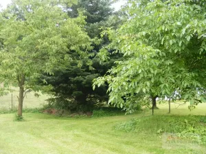 Prodej rodinného domu, Šonov, 80 m2