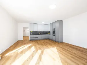 Prodej bytu 3+kk, Praha - Motol, Jeřabinová, 100 m2