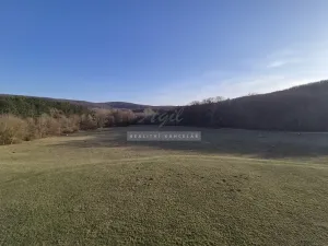 Pronájem bytu 1+kk, Brno, 50 m2