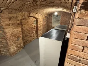 Pronájem bytu 1+kk, České Budějovice, Družstevní, 30 m2