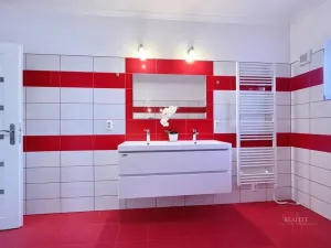 Prodej rodinného domu, Aš - Kopaniny, 250 m2