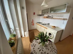 Pronájem bytu 1+1, Brno, Lužická, 33 m2