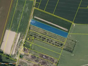 Prodej pole, Všesulov, 6065 m2