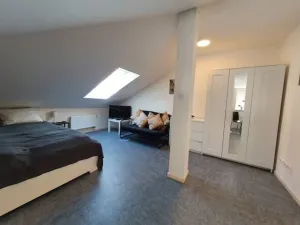 Pronájem bytu 1+kk, Plzeň - Vnitřní Město, Veleslavínova, 36 m2