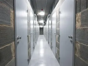 Pronájem - jiné, Praha - Karlín, Karlínské náměstí