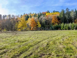 Prodej pozemku pro bydlení, Konstantinovy Lázně, 1931 m2