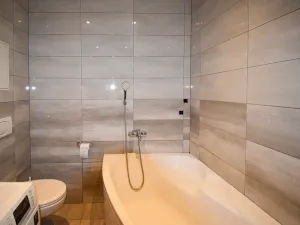 Pronájem bytu 2+kk, Plzeň - Jižní Předměstí, Plynární, 60 m2