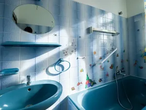 Prodej vícegeneračního domu, Vejprty, 900 m2