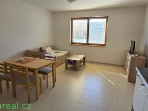 Prodej rodinného domu, Brod nad Dyjí, 34 m2