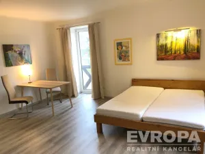 Pronájem bytu 1+kk, Plzeň - Černice, K Lutové, 47 m2