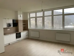 Pronájem bytu 1+kk, Adamov, Svitavská, 40 m2