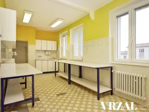 Pronájem ordinace, Plzeň, Francouzská třída, 80 m2
