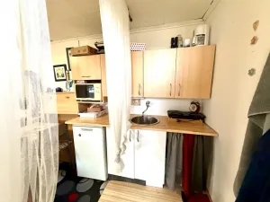 Prodej zahrady, Údlice, 396 m2