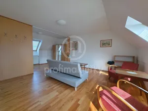 Pronájem bytu 1+kk, Bílovice nad Svitavou, Šebelova, 51 m2