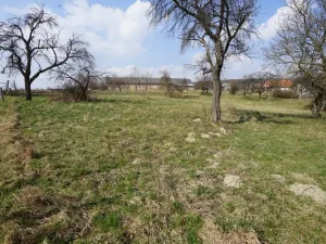 Prodej pozemku pro bydlení, Brzice - Proruby, Brzice, 1 m2