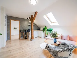 Prodej bytu 2+kk, Praha - Žižkov, 36 m2