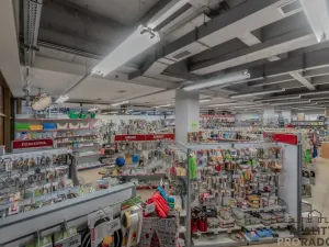 Pronájem obchodního prostoru, Znojmo, Obroková, 180 m2