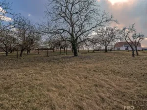 Prodej pozemku pro bydlení, Skalice, 1000 m2