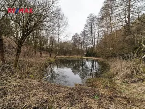 Prodej rodinného domu, Červená Voda, 440 m2