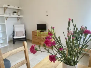 Pronájem bytu 1+kk, Dobřichovice, 5. května, 34 m2