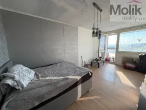 Prodej bytu 1+1, Most, Rozmarýnová, 36 m2