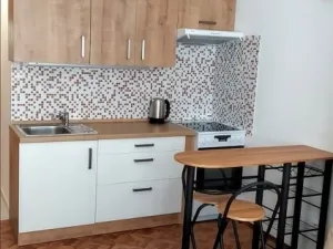 Prodej bytu 1+kk, Brno - Židenice, Velkopavlovická, 25 m2