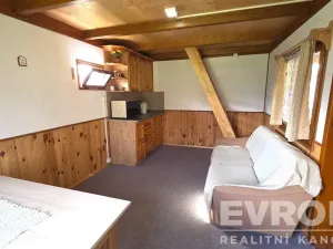 Prodej chaty, Luže, 30 m2