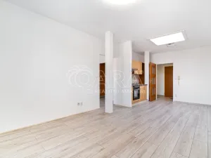 Pronájem bytu 2+kk, Ostrava - Mariánské Hory, Jiřího Trnky, 44 m2